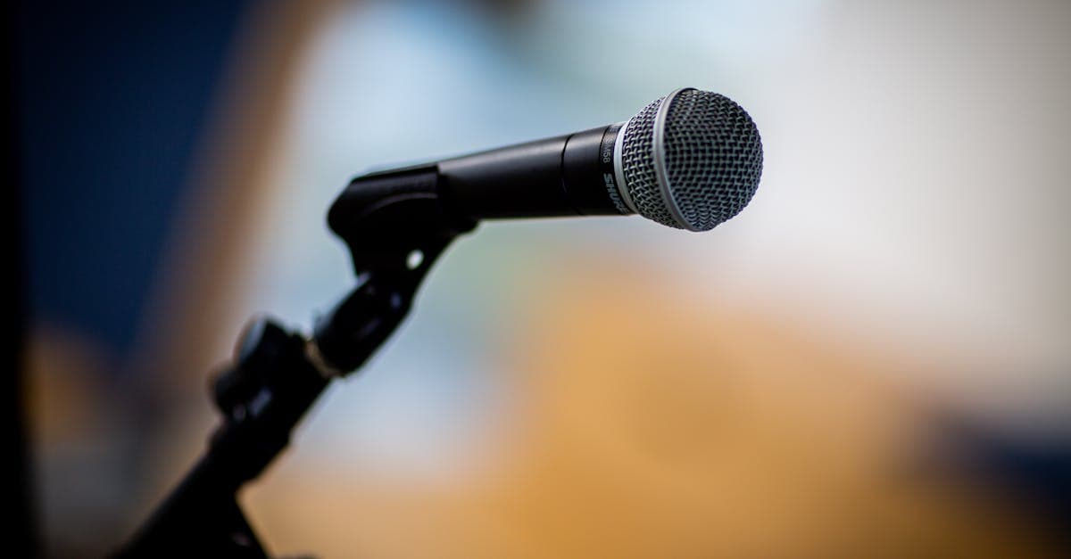 ฝันเห็นช้าง ถูกหวย ทำนายฝัน เลขมงคลช้าง | Cuban Affairs Journal แทงหวย